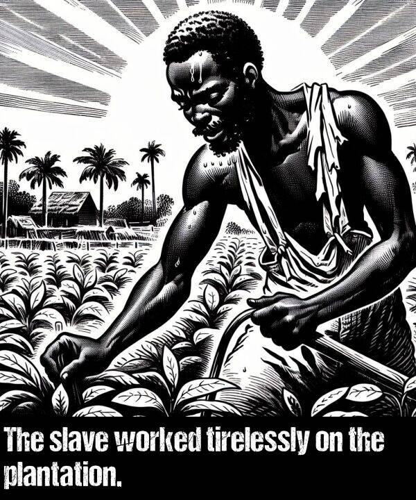 worked: The slave worked tirelessly on the plantation.