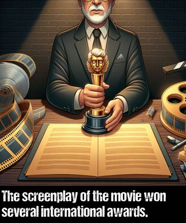 won: The screenplay of the movie won several international awards.