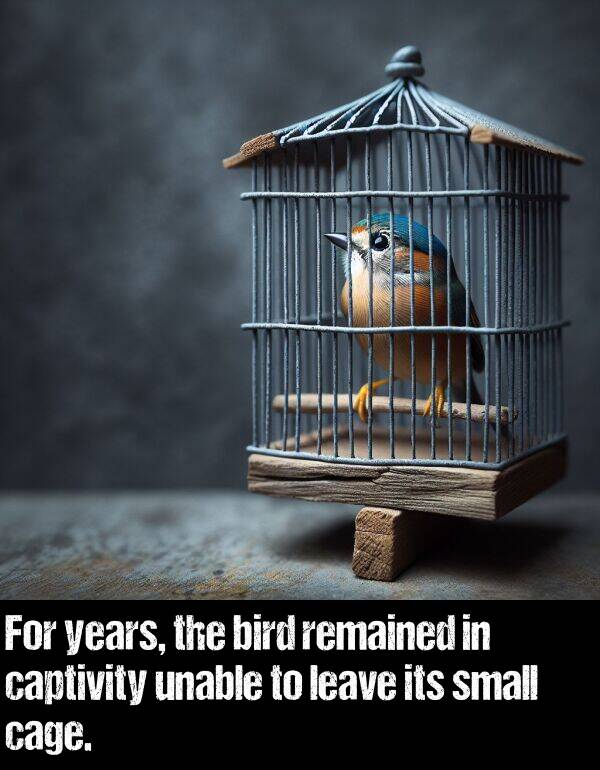 years: For years, the bird remained in captivity unable to leave its small cage.