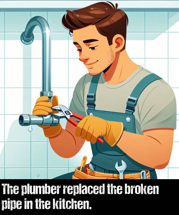 pipe: The plumber replaced the broken pipe in the kitchen.