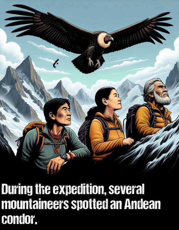 expedition: During the expedition, several mountaineers spotted an Andean condor.