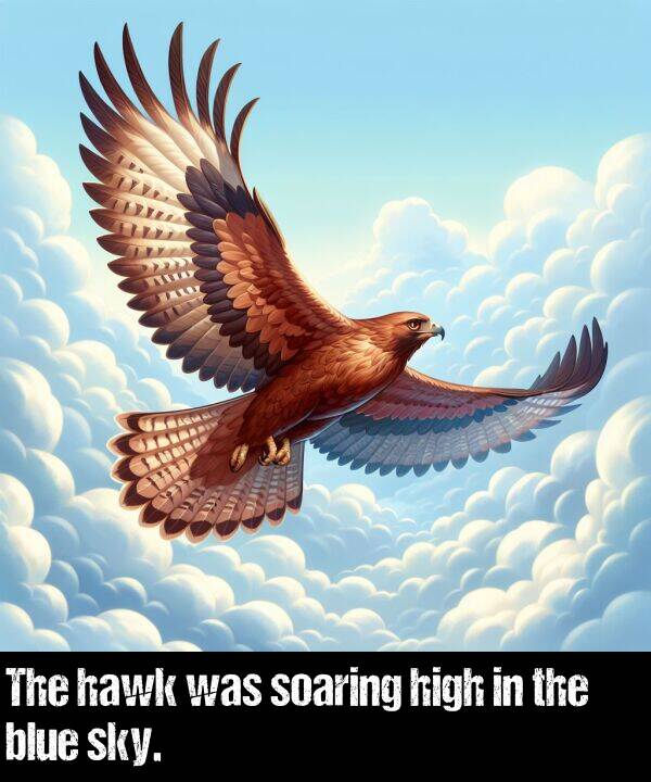 hawk: The hawk was soaring high in the blue sky.