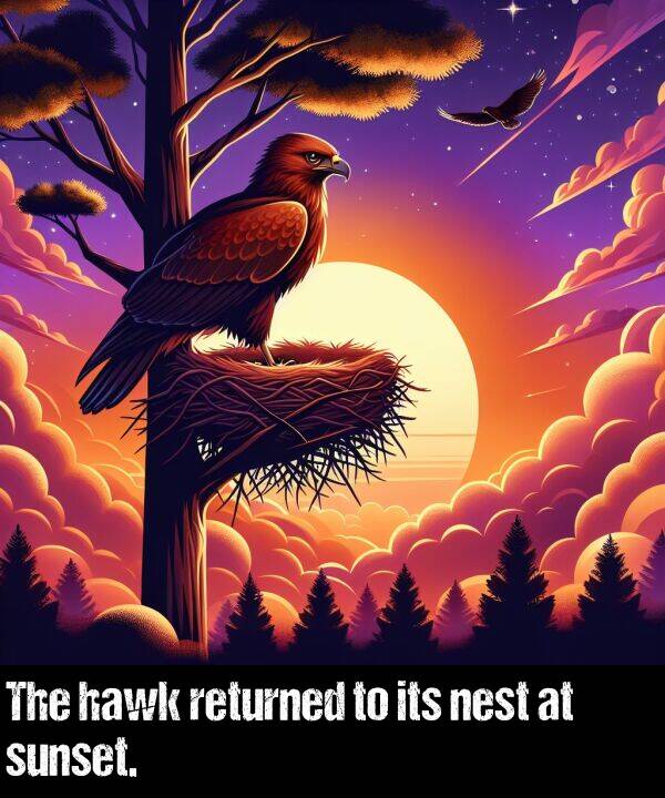 its: The hawk returned to its nest at sunset.