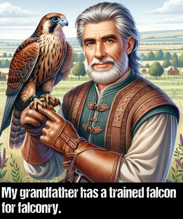 has: My grandfather has a trained falcon for falconry.