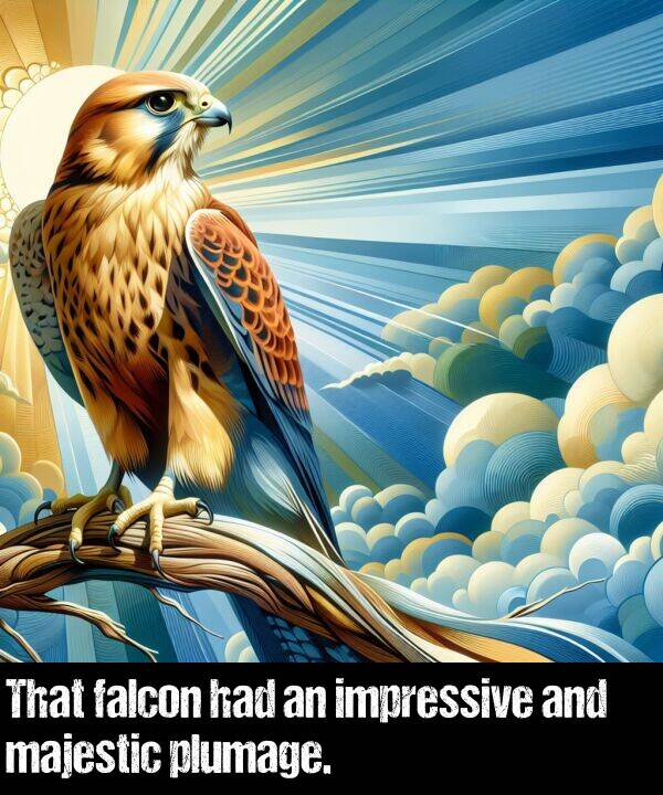 had: That falcon had an impressive and majestic plumage.