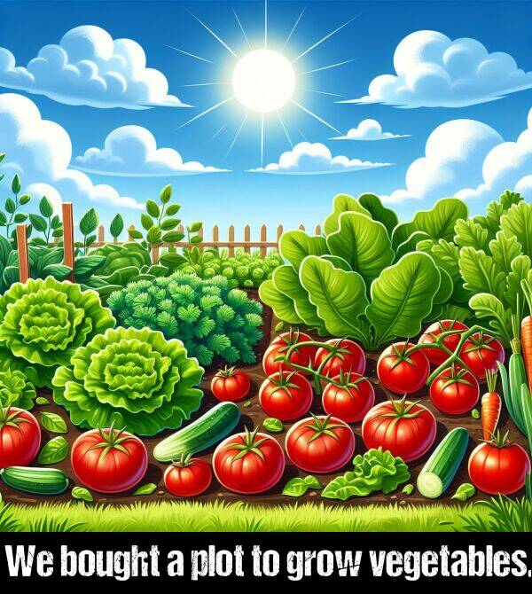 vegetables: We bought a plot to grow vegetables.