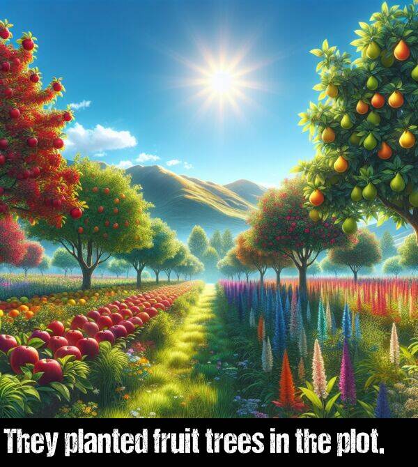 trees: They planted fruit trees in the plot.