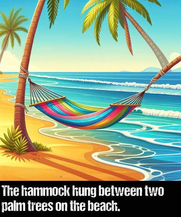 trees: The hammock hung between two palm trees on the beach.