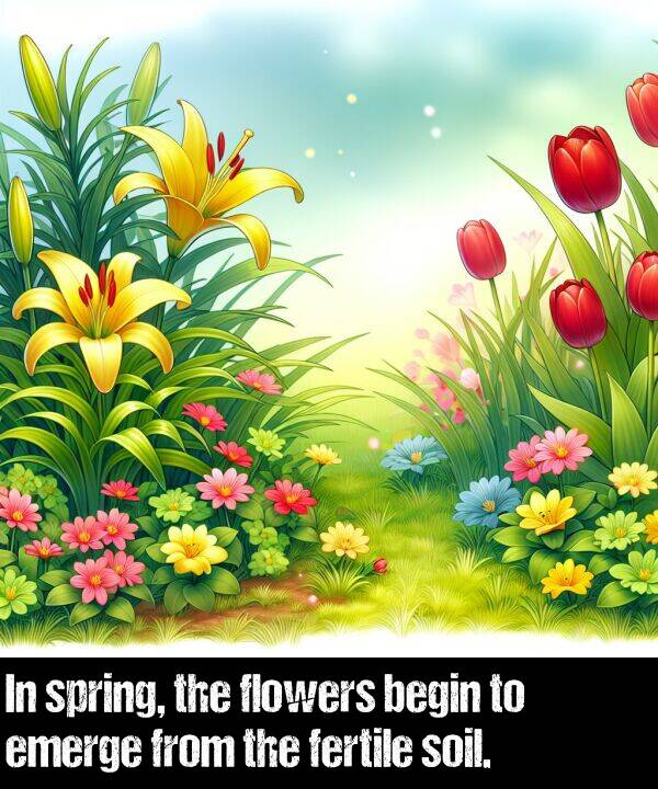 emerge: In spring, the flowers begin to emerge from the fertile soil.