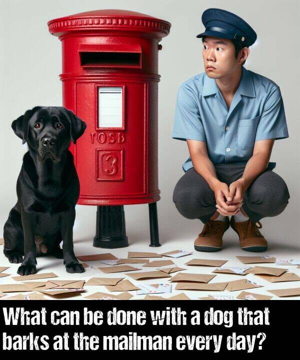 barks: What can be done with a dog that barks at the mailman every day?