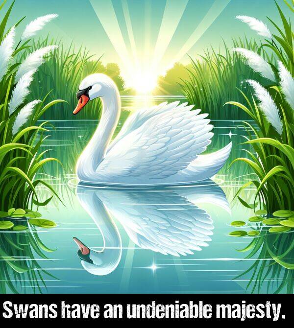 have: Swans have an undeniable majesty.