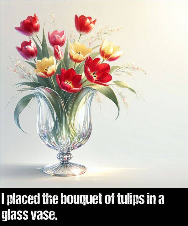 placed: I placed the bouquet of tulips in a glass vase.