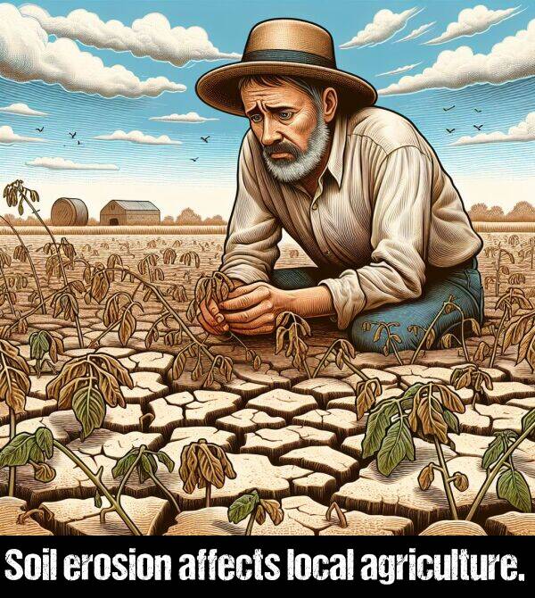 local: Soil erosion affects local agriculture.