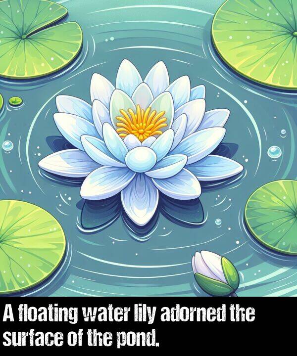 water: A floating water lily adorned the surface of the pond.