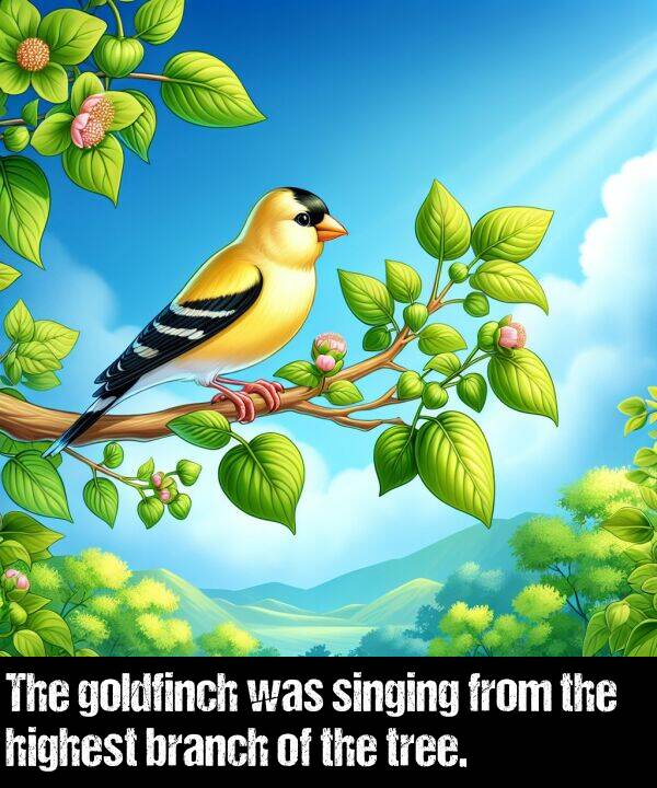 branch: The goldfinch was singing from the highest branch of the tree.