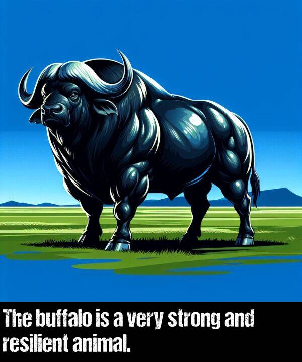 resilient: The buffalo is a very strong and resilient animal.