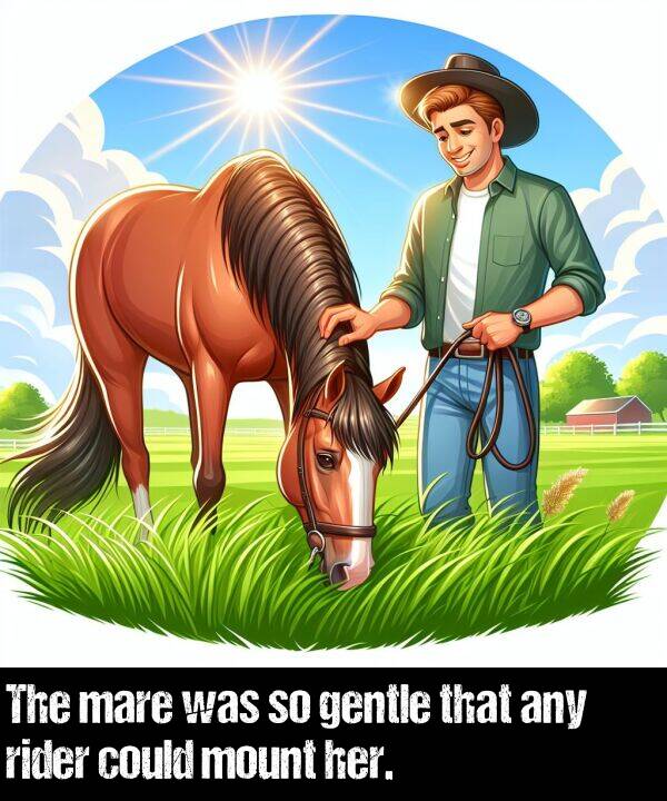 gentle: The mare was so gentle that any rider could mount her.