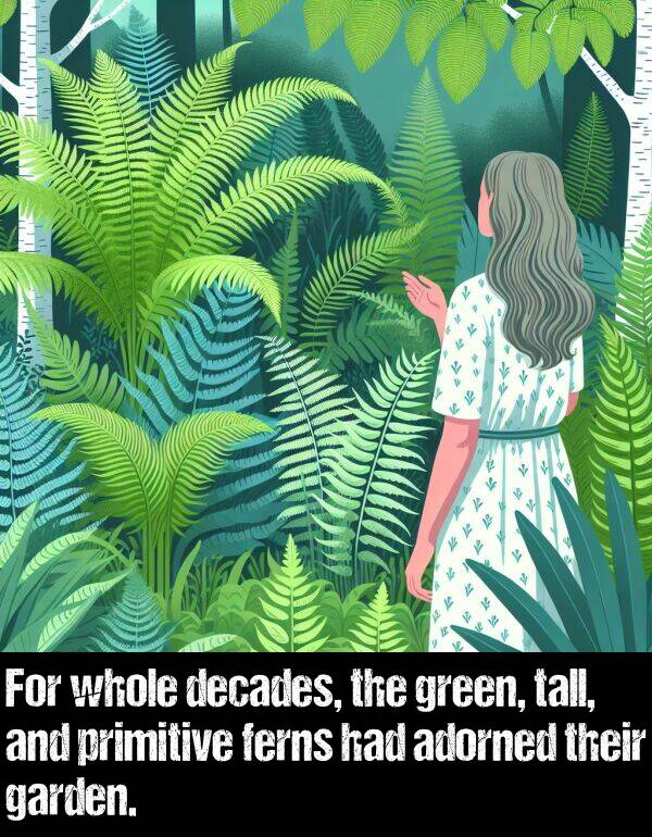 green: For whole decades, the green, tall, and primitive ferns had adorned their garden.