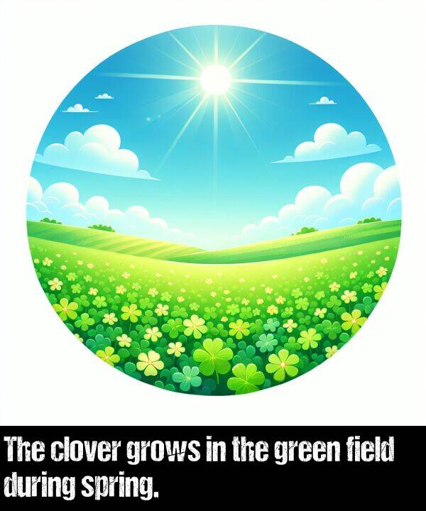 green: The clover grows in the green field during spring.