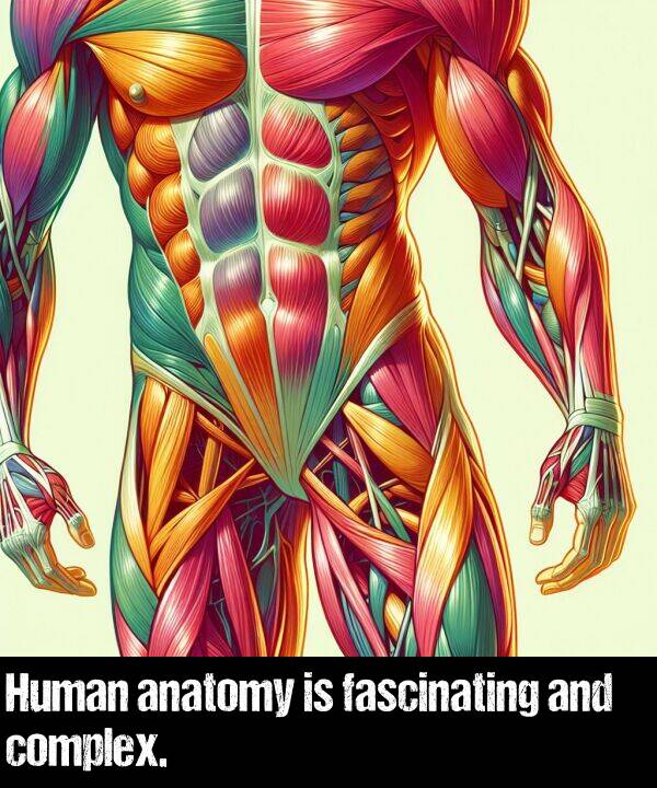 and: Human anatomy is fascinating and complex.