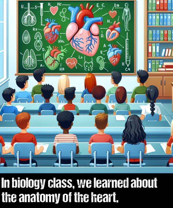 learned: In biology class, we learned about the anatomy of the heart.