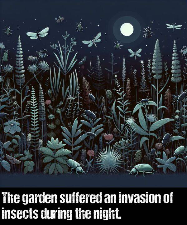 garden: The garden suffered an invasion of insects during the night.