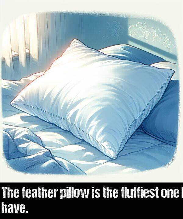 feather: The feather pillow is the fluffiest one I have.