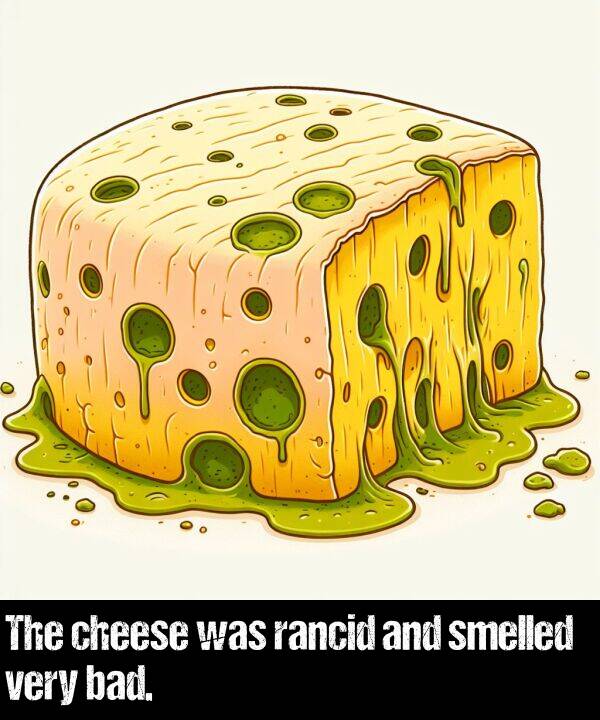 was: The cheese was rancid and smelled very bad.