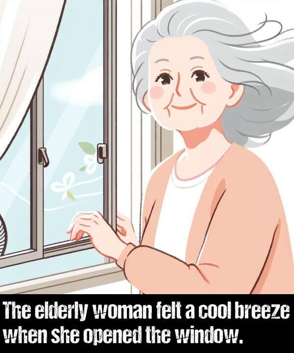 window: The elderly woman felt a cool breeze when she opened the window.