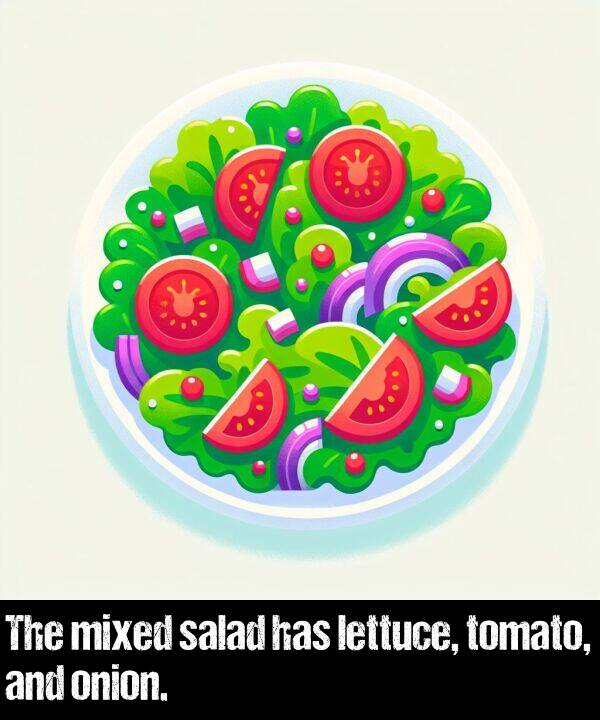 onion: The mixed salad has lettuce, tomato, and onion.