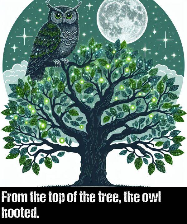 tree: From the top of the tree, the owl hooted.