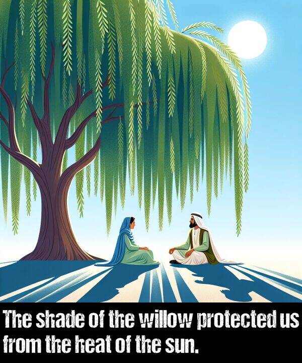 willow: The shade of the willow protected us from the heat of the sun.