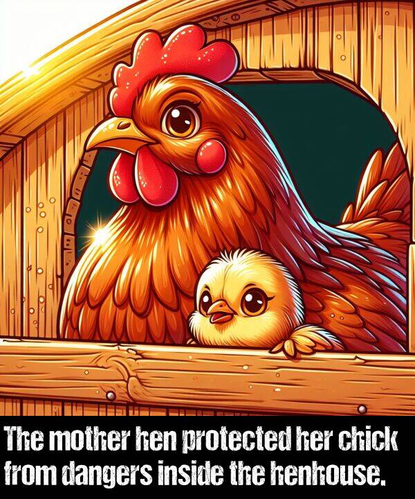 henhouse: The mother hen protected her chick from dangers inside the henhouse.