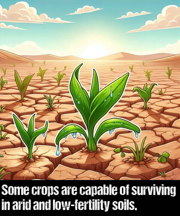 arid: Some crops are capable of surviving in arid and low-fertility soils.