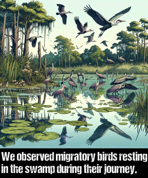 their: We observed migratory birds resting in the swamp during their journey.