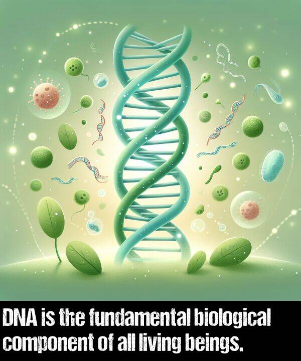 living: DNA is the fundamental biological component of all living beings.