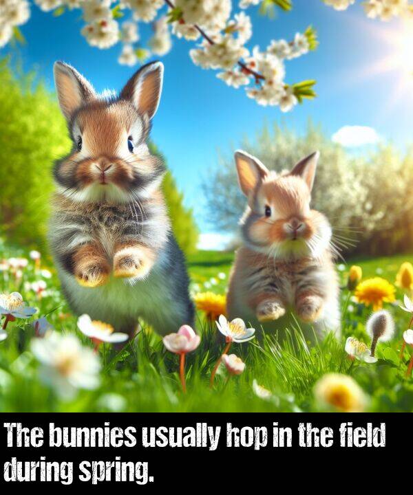 bunnies: The bunnies usually hop in the field during spring.