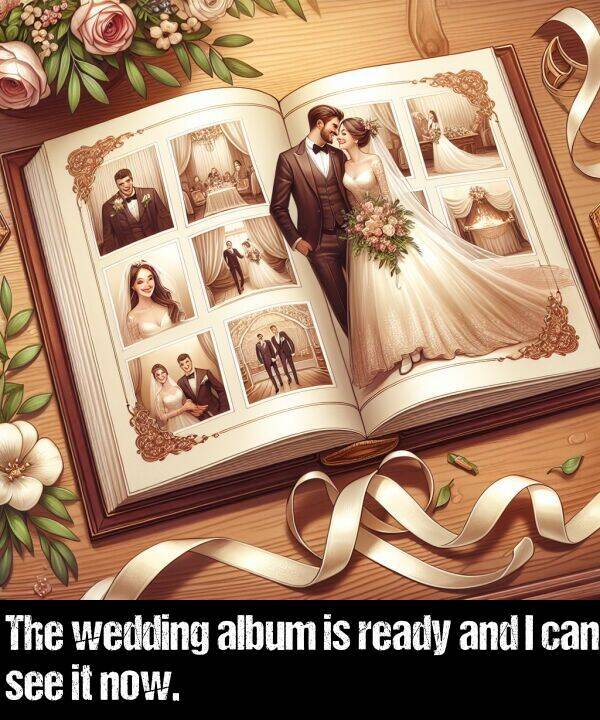 wedding: The wedding album is ready and I can see it now.