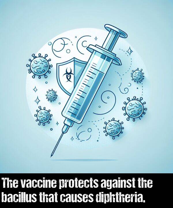 protects: The vaccine protects against the bacillus that causes diphtheria.