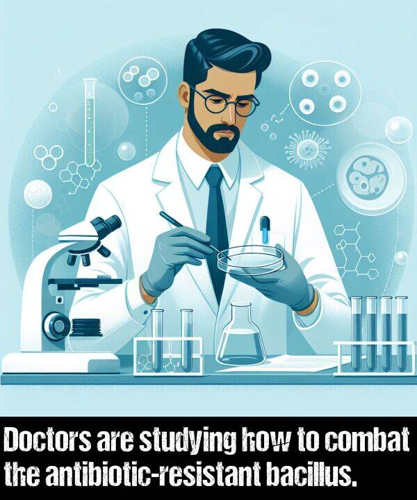 combat: Doctors are studying how to combat the antibiotic-resistant bacillus.