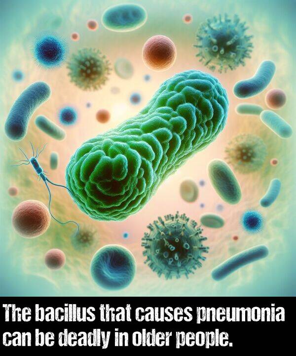 bacillus: The bacillus that causes pneumonia can be deadly in older people.