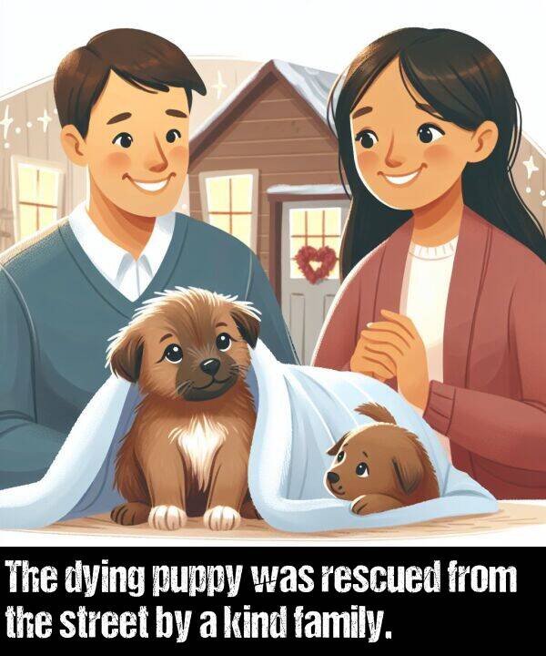 family: The dying puppy was rescued from the street by a kind family.