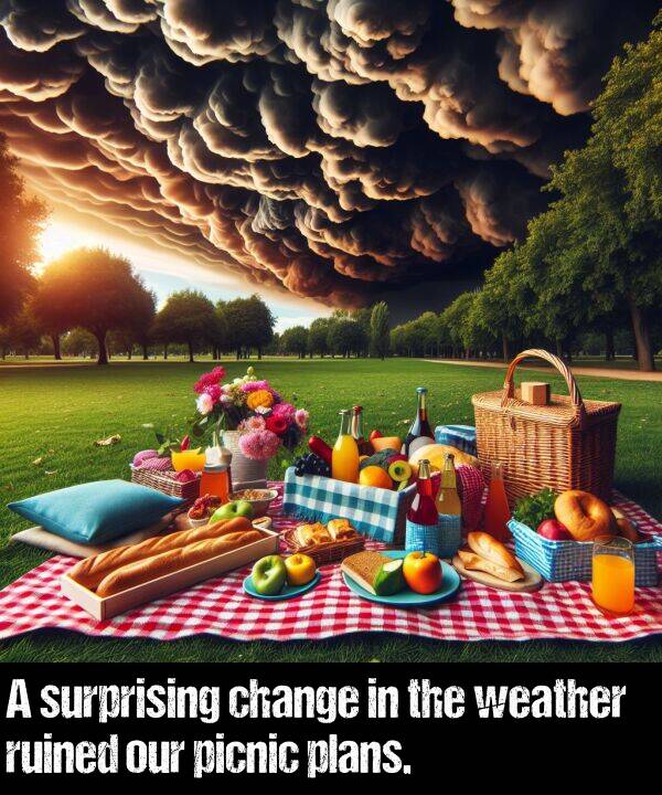 our: A surprising change in the weather ruined our picnic plans.