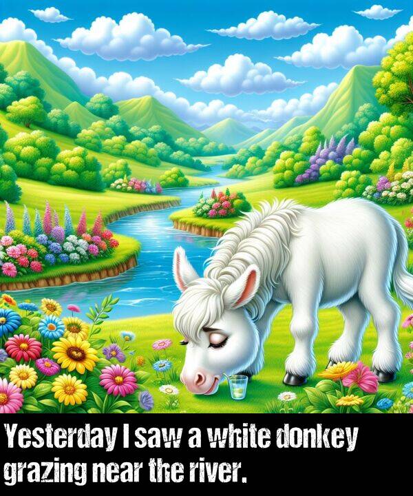 white: Yesterday I saw a white donkey grazing near the river.