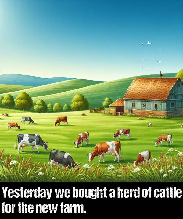 bought: Yesterday we bought a herd of cattle for the new farm.