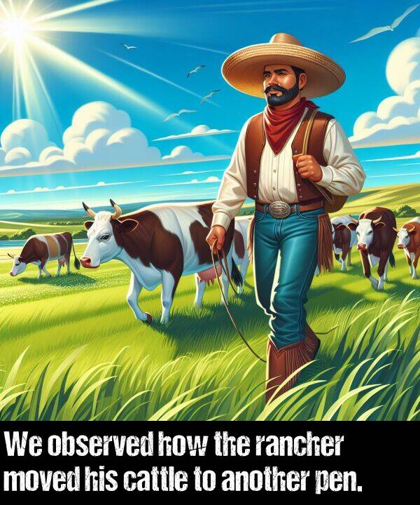 pen: We observed how the rancher moved his cattle to another pen.