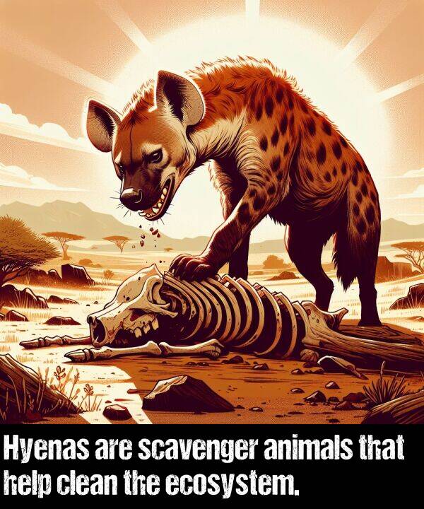 animals: Hyenas are scavenger animals that help clean the ecosystem.