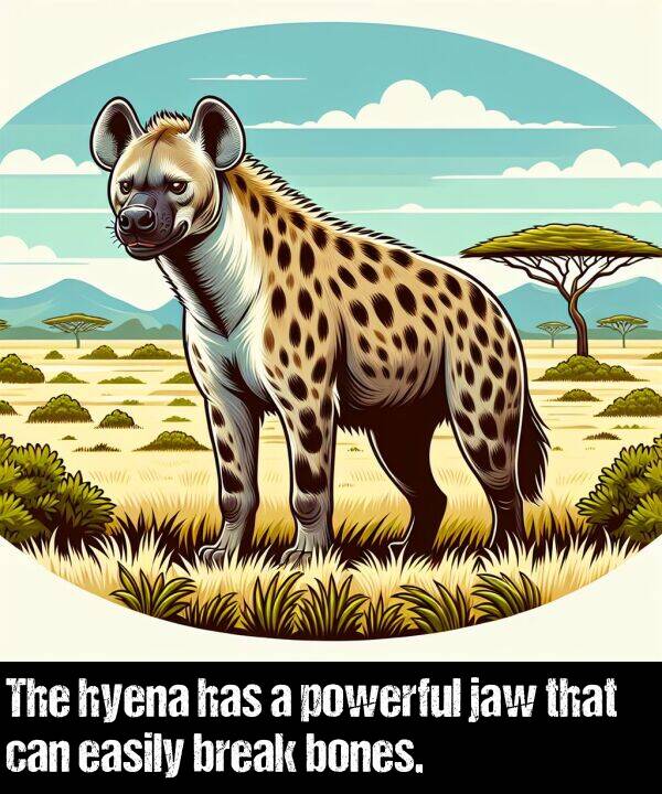 bones: The hyena has a powerful jaw that can easily break bones.