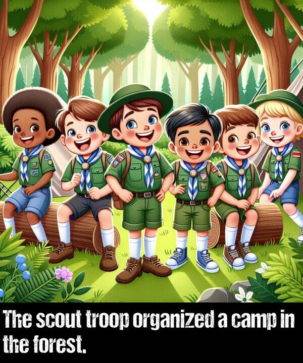 forest: The scout troop organized a camp in the forest.