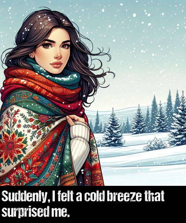 breeze: Suddenly, I felt a cold breeze that surprised me.